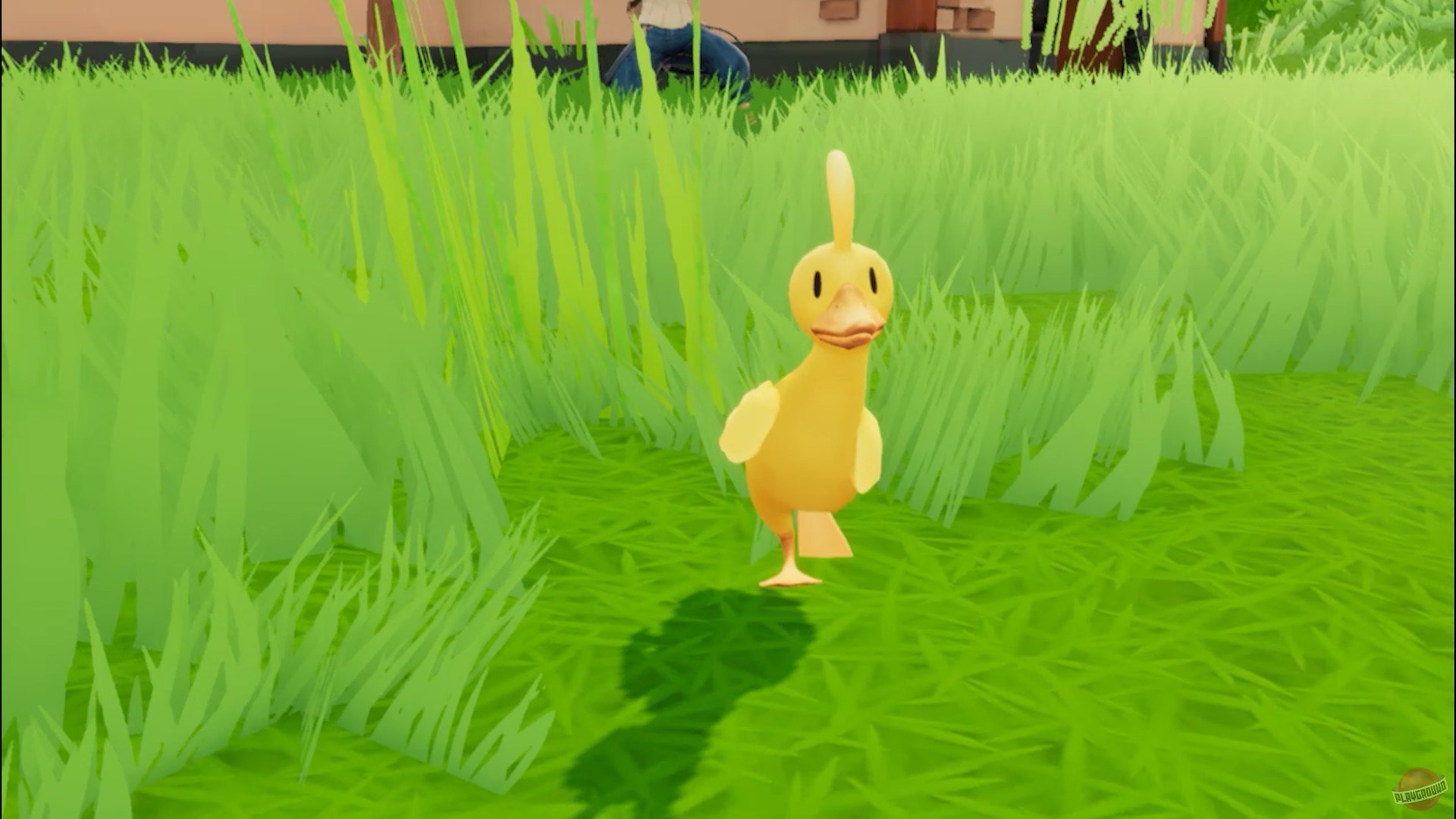 Скриншот из игры What The Duck - 7