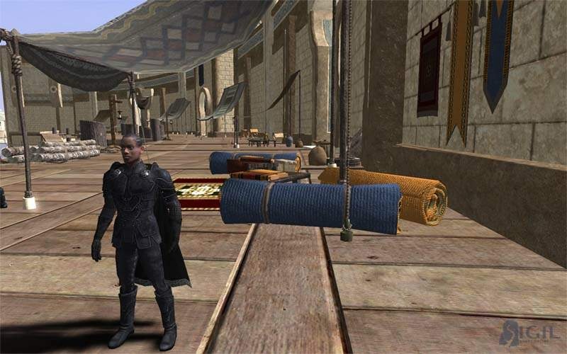 Скриншот из игры Vanguard: Saga Of Heroes - 130