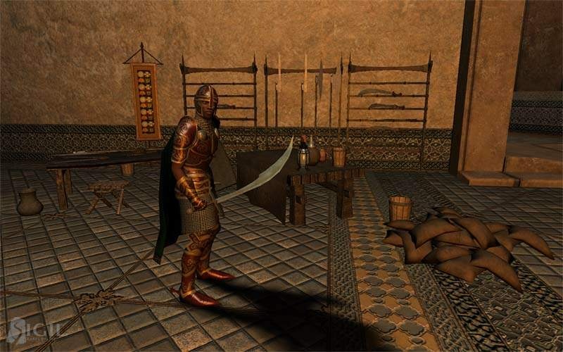 Скриншот из игры Vanguard: Saga Of Heroes - 126