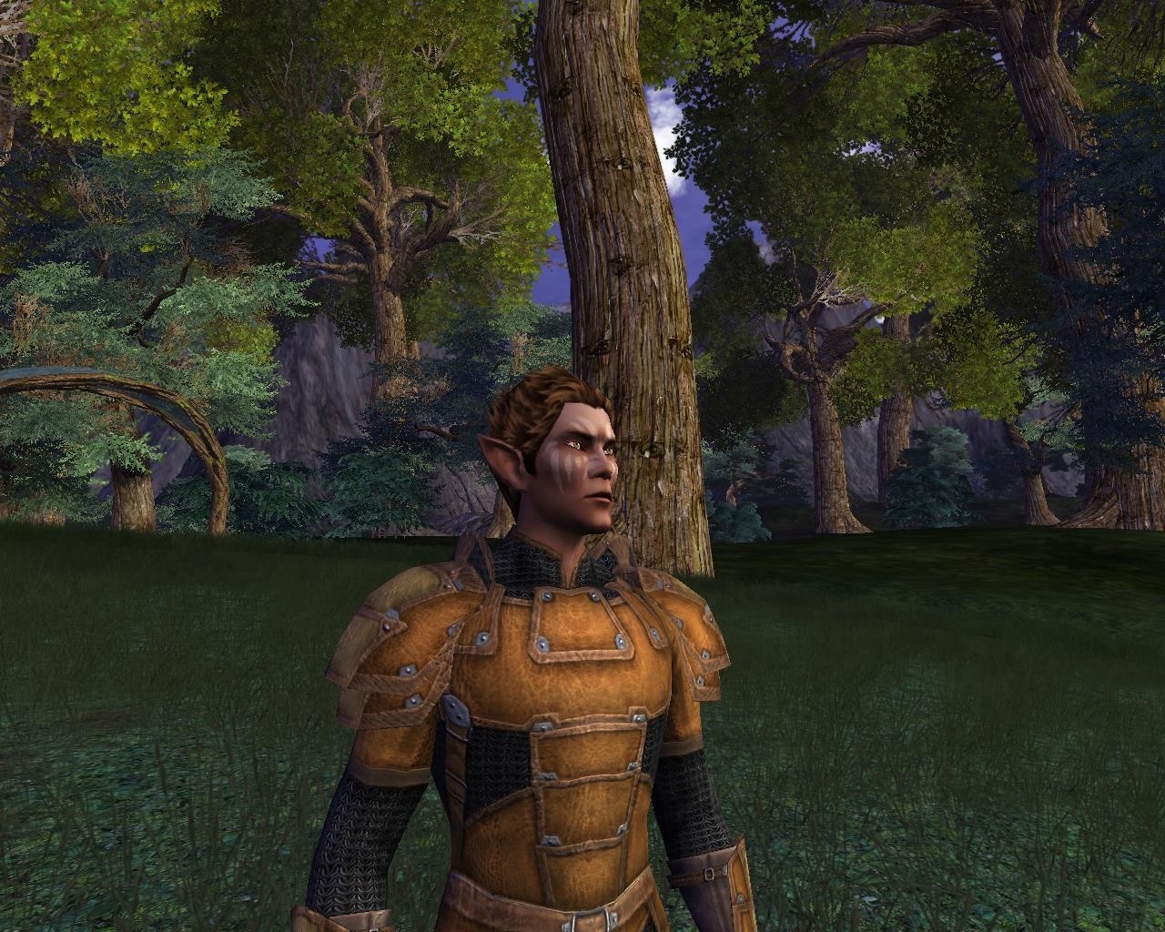 Скриншот из игры Vanguard: Saga Of Heroes - 131