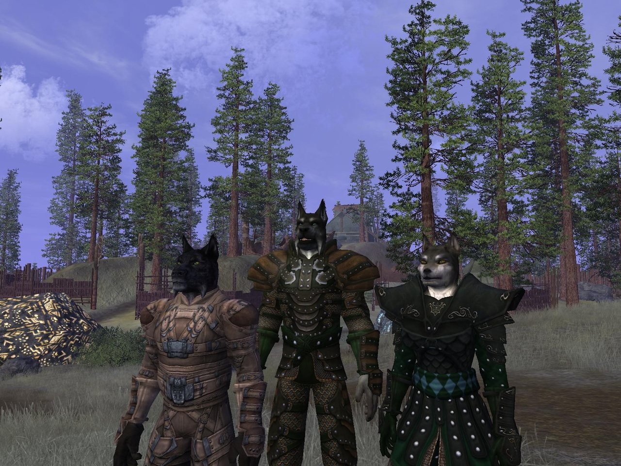 Скриншот из игры Vanguard: Saga Of Heroes - 151