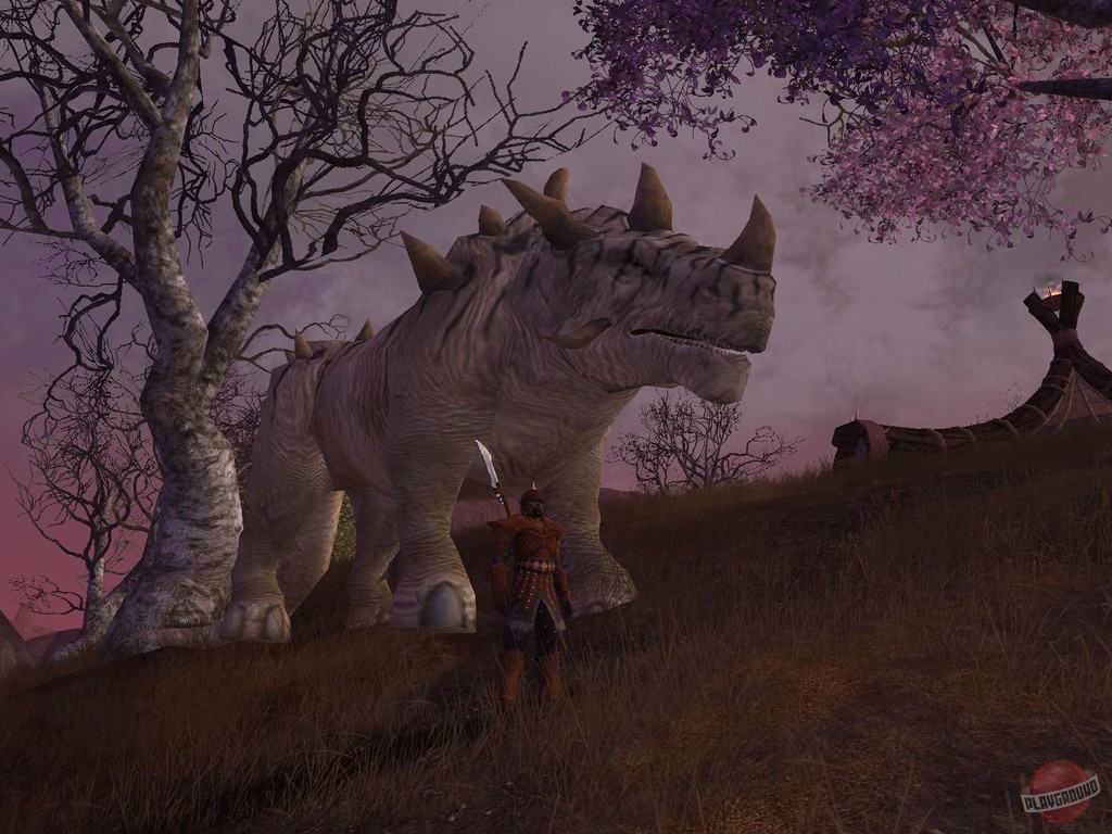 Скриншот из игры Vanguard: Saga Of Heroes - 29