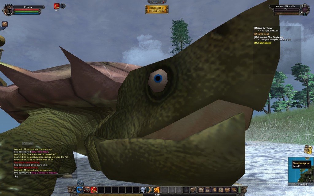 Скриншот из игры Vanguard: Saga Of Heroes - 12