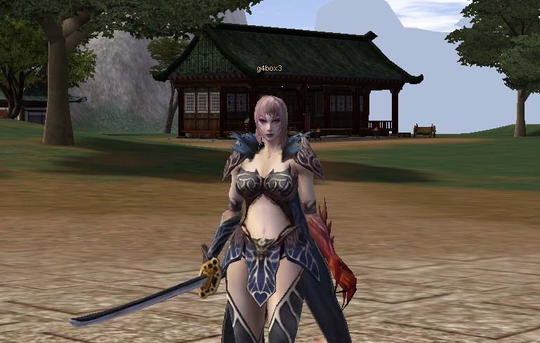 Скриншот из игры Metin 2 - 47