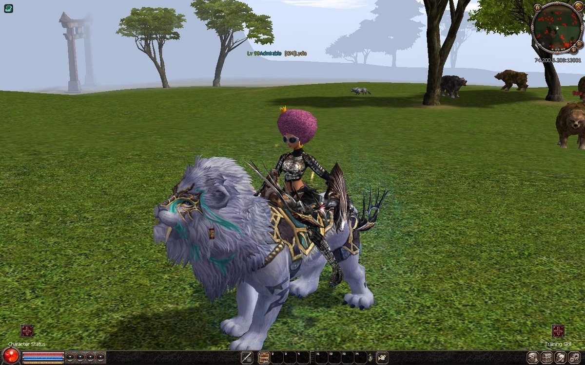 Скриншот из игры Metin 2 - 45