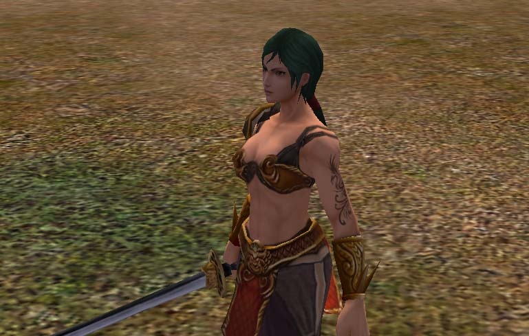 Скриншот из игры Metin 2 - 60