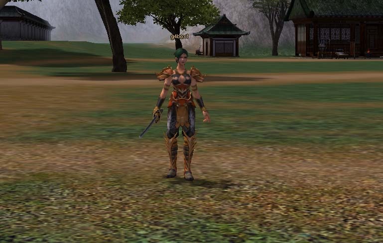 Скриншот из игры Metin 2 - 39