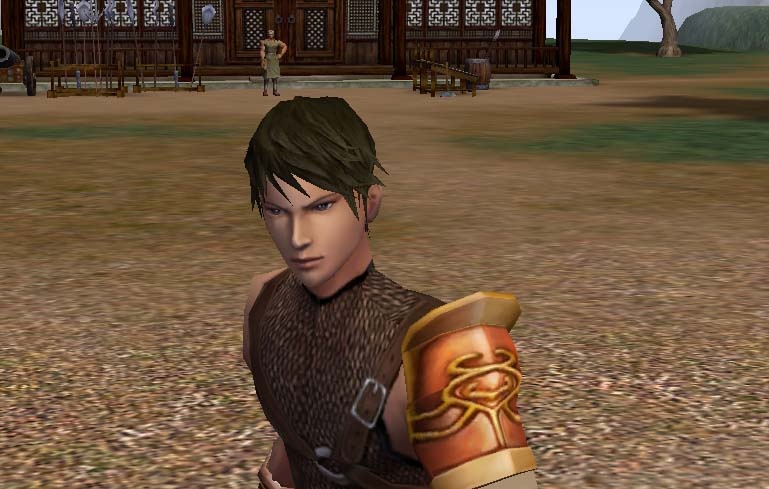 Скриншот из игры Metin 2 - 50