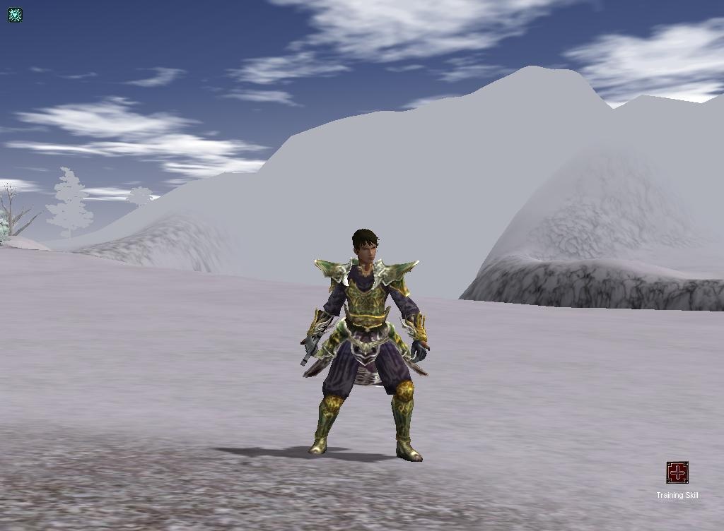 Скриншот из игры Metin 2 - 54