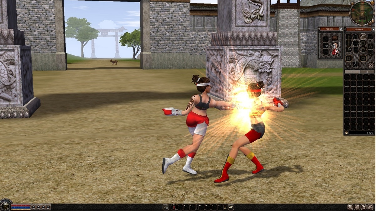 Скриншот из игры Metin 2 - 29