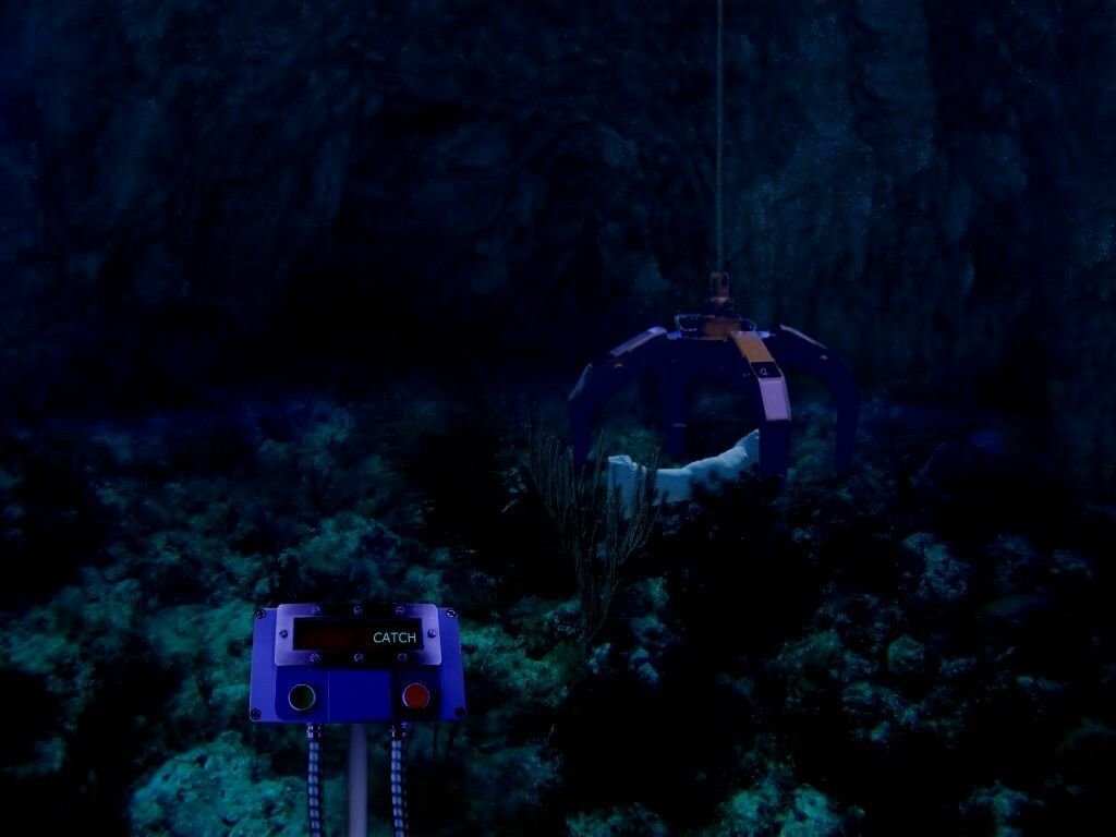 Скриншот из игры Anacapri: The Dream - 1