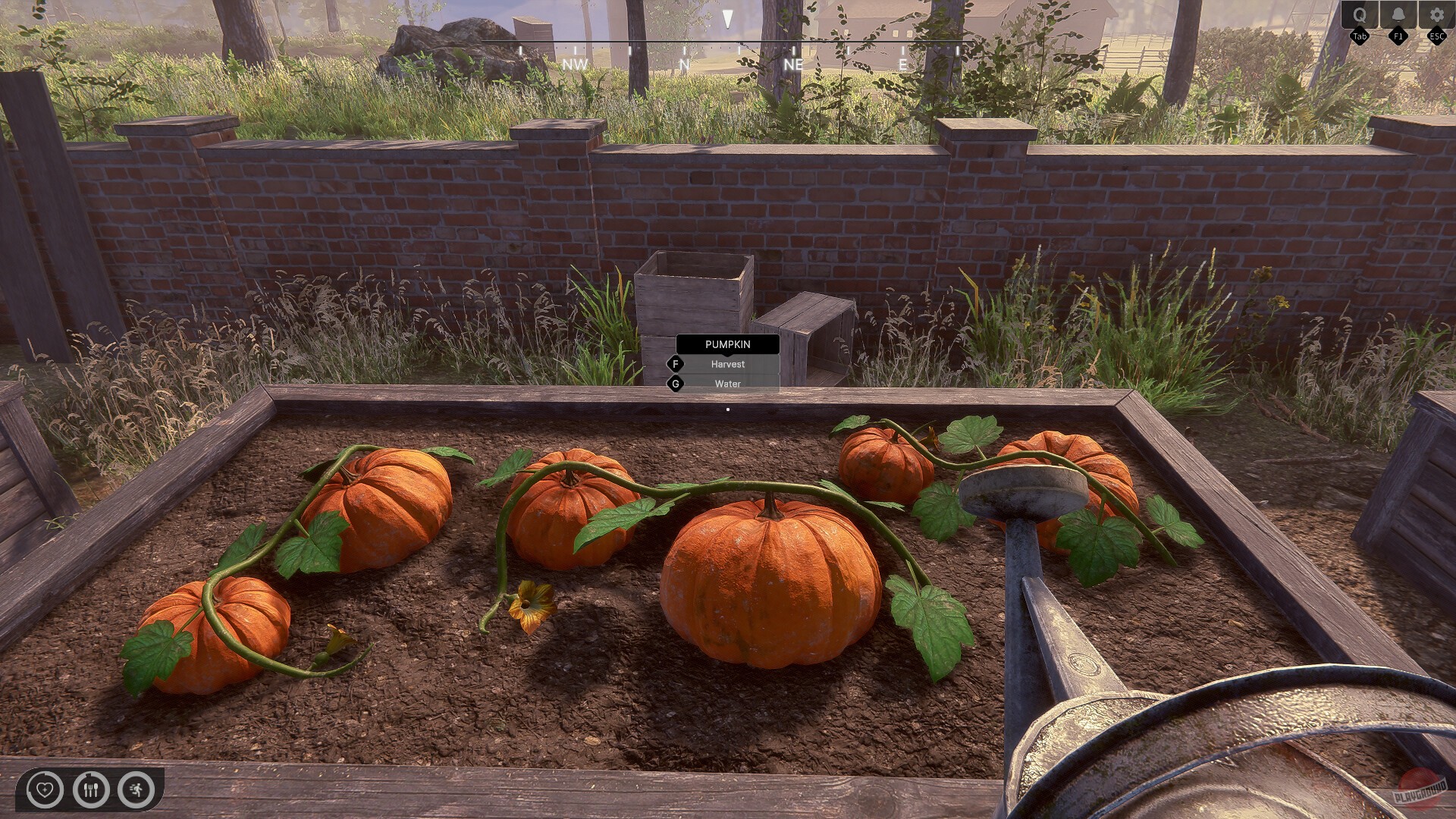 Скриншот из игры Rancher: A New Life - 9