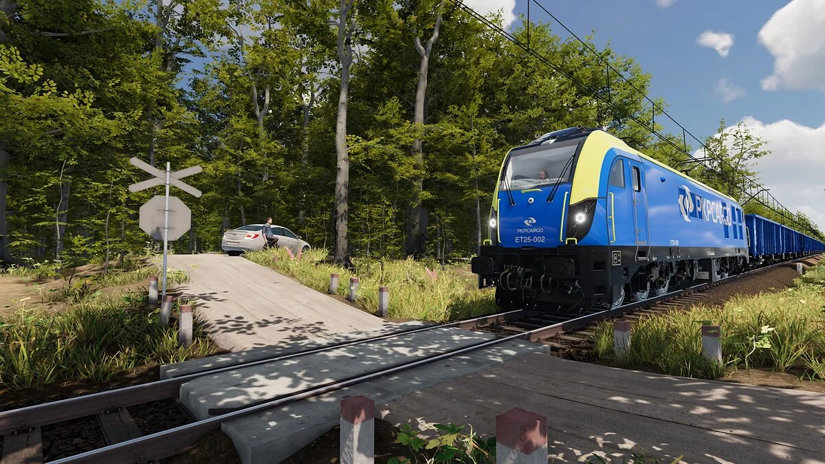 Скриншот из игры SimRail - The Railway Simulator - 31