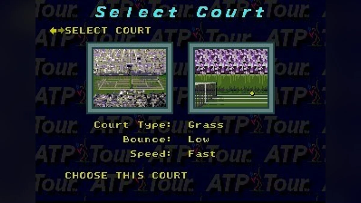 Скриншот из игры ATP Tour Championship Tennis - 1