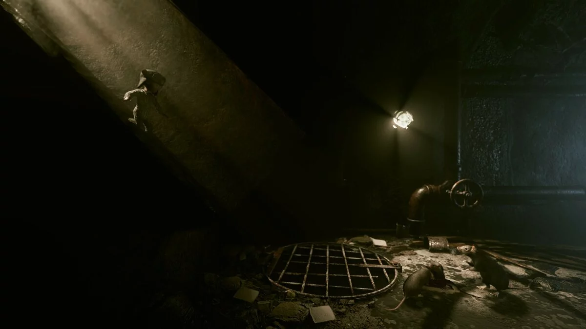 Скриншот из игры Broken Veil - 11