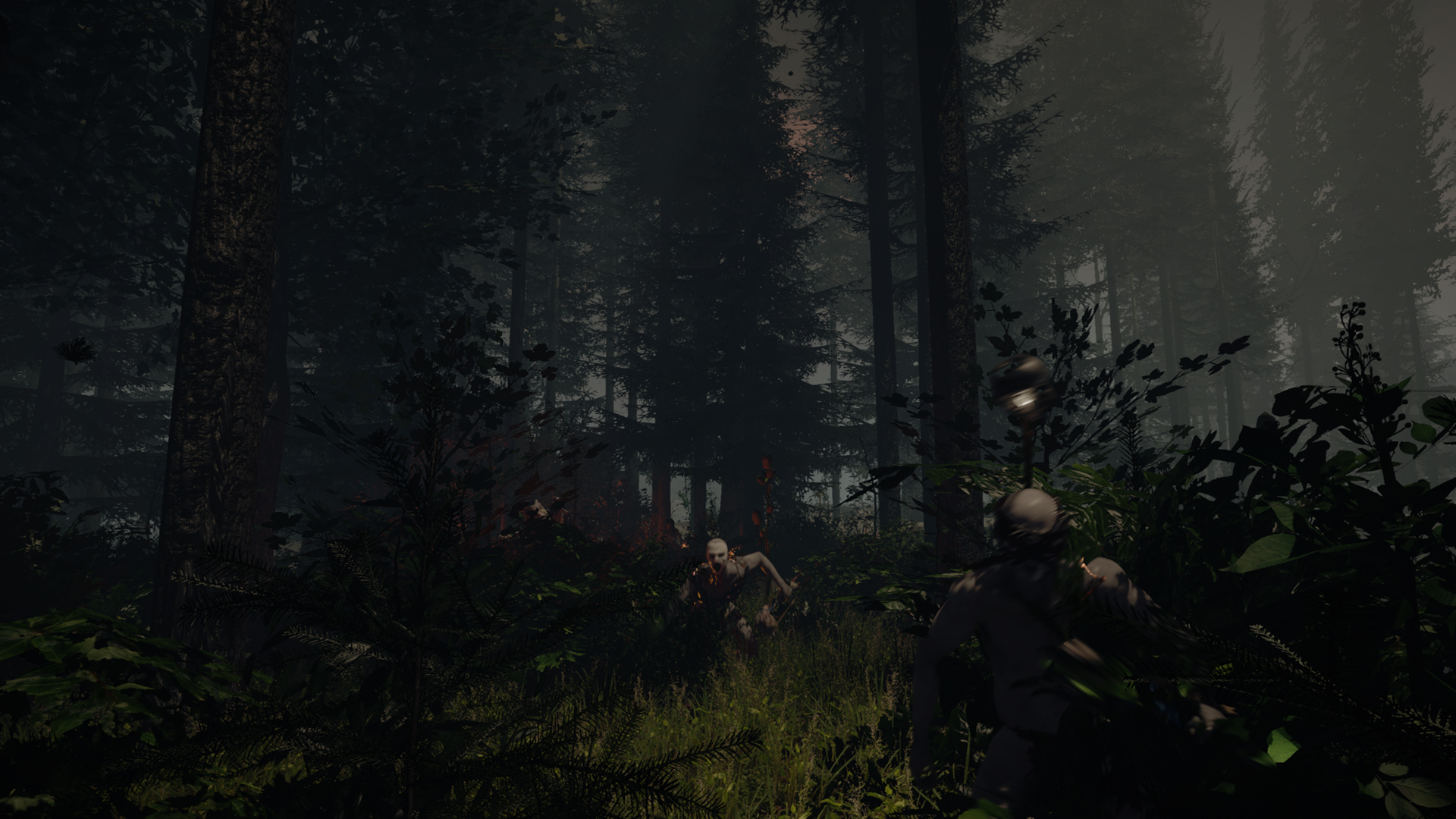 Скриншот из игры The Forest - 96