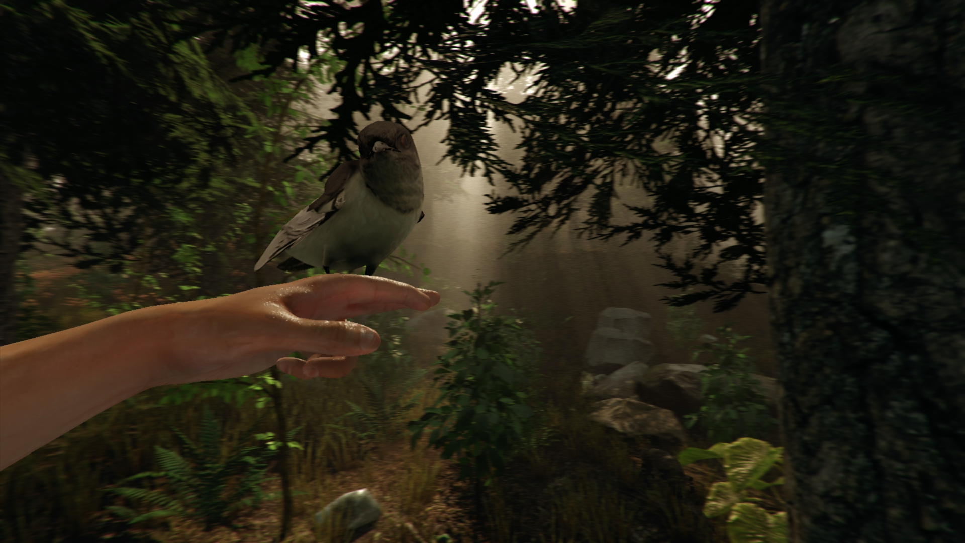 Скриншот из игры The Forest - 56