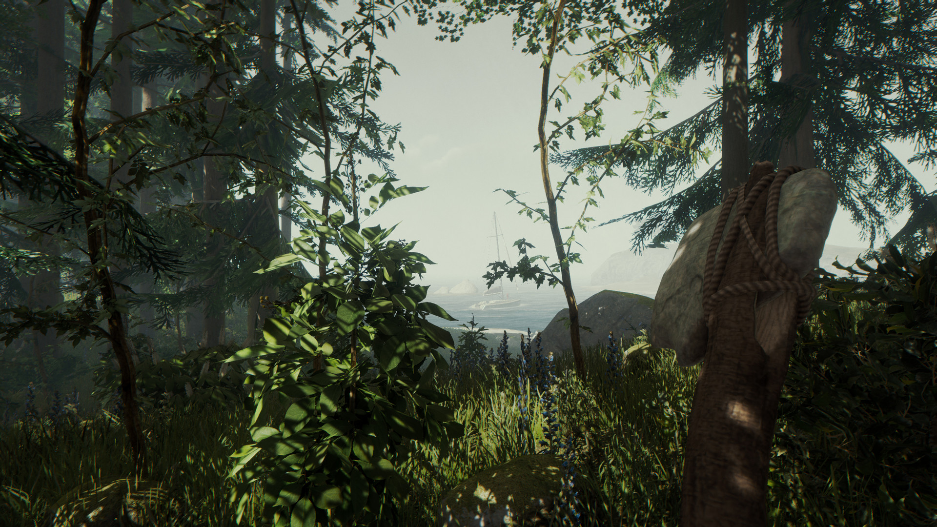 Скриншот из игры The Forest - 88