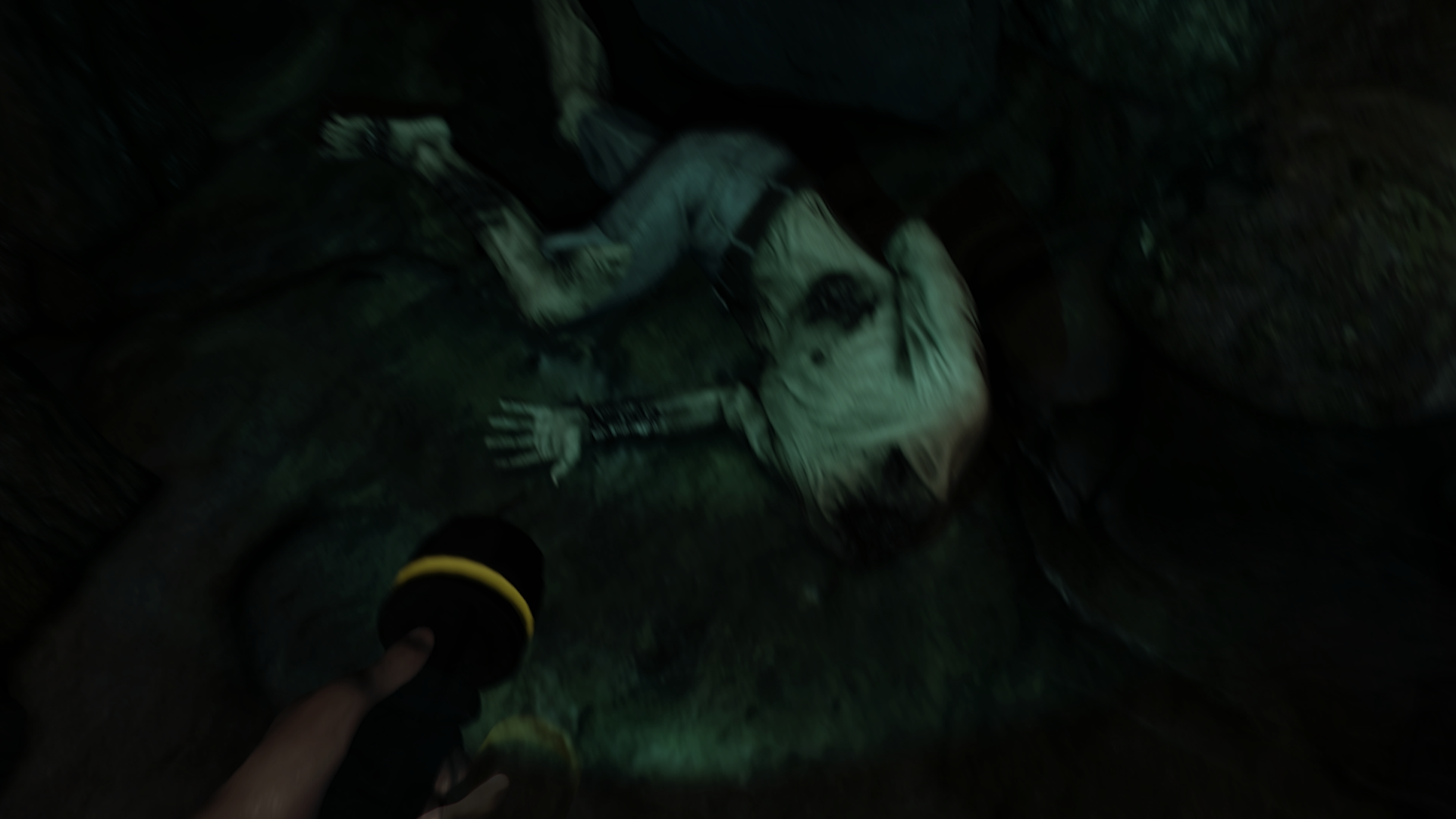 Скриншот из игры The Forest - 82