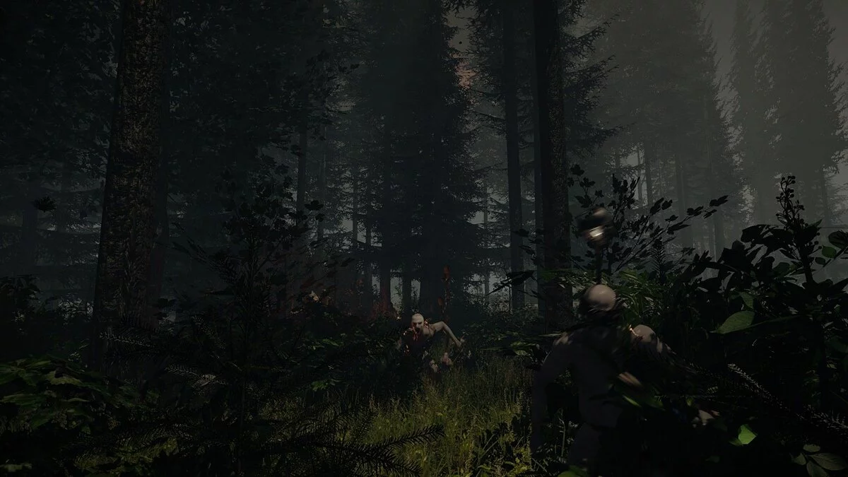 Скриншот из игры The Forest - 79