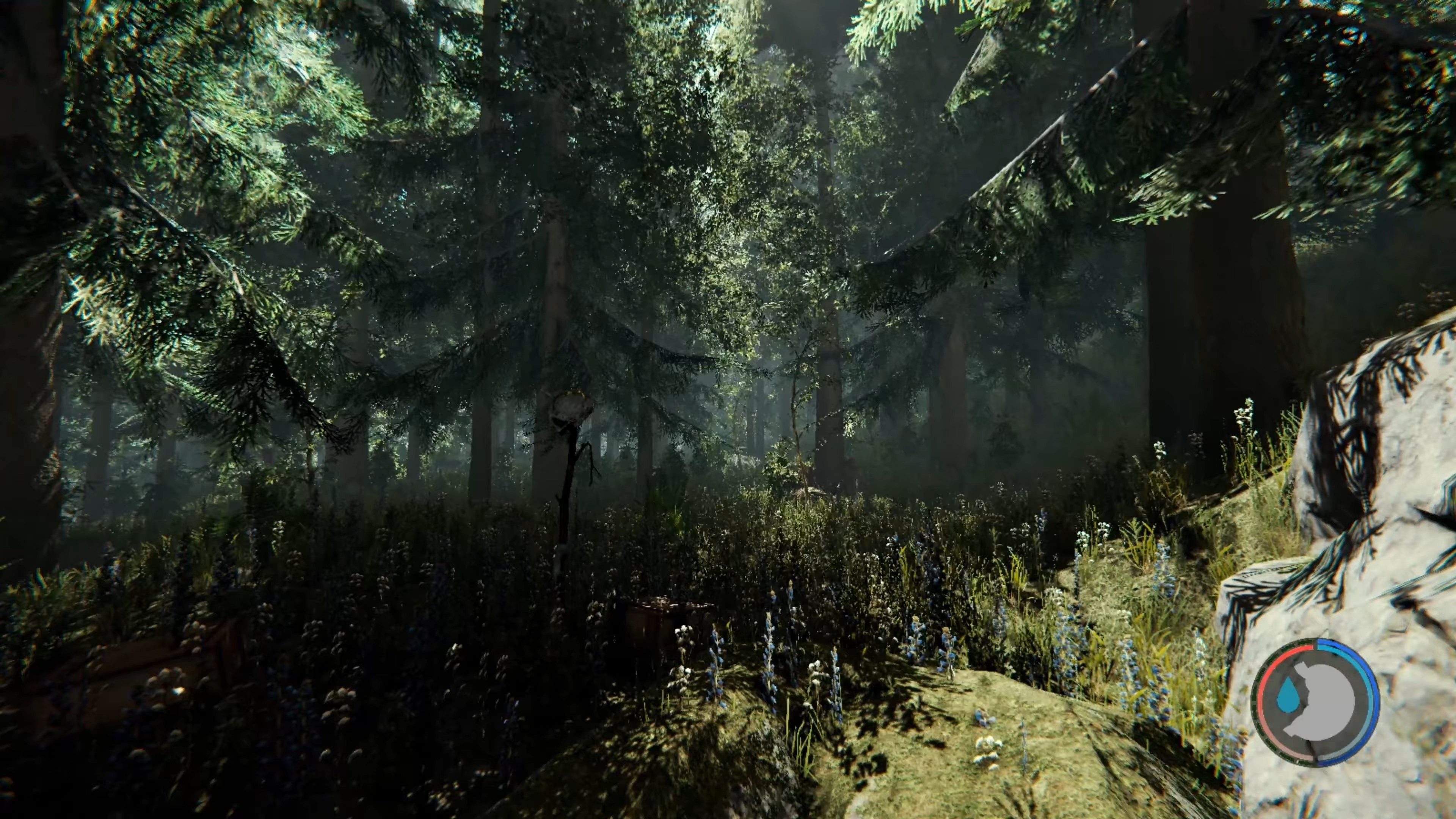 Скриншот из игры The Forest - 64