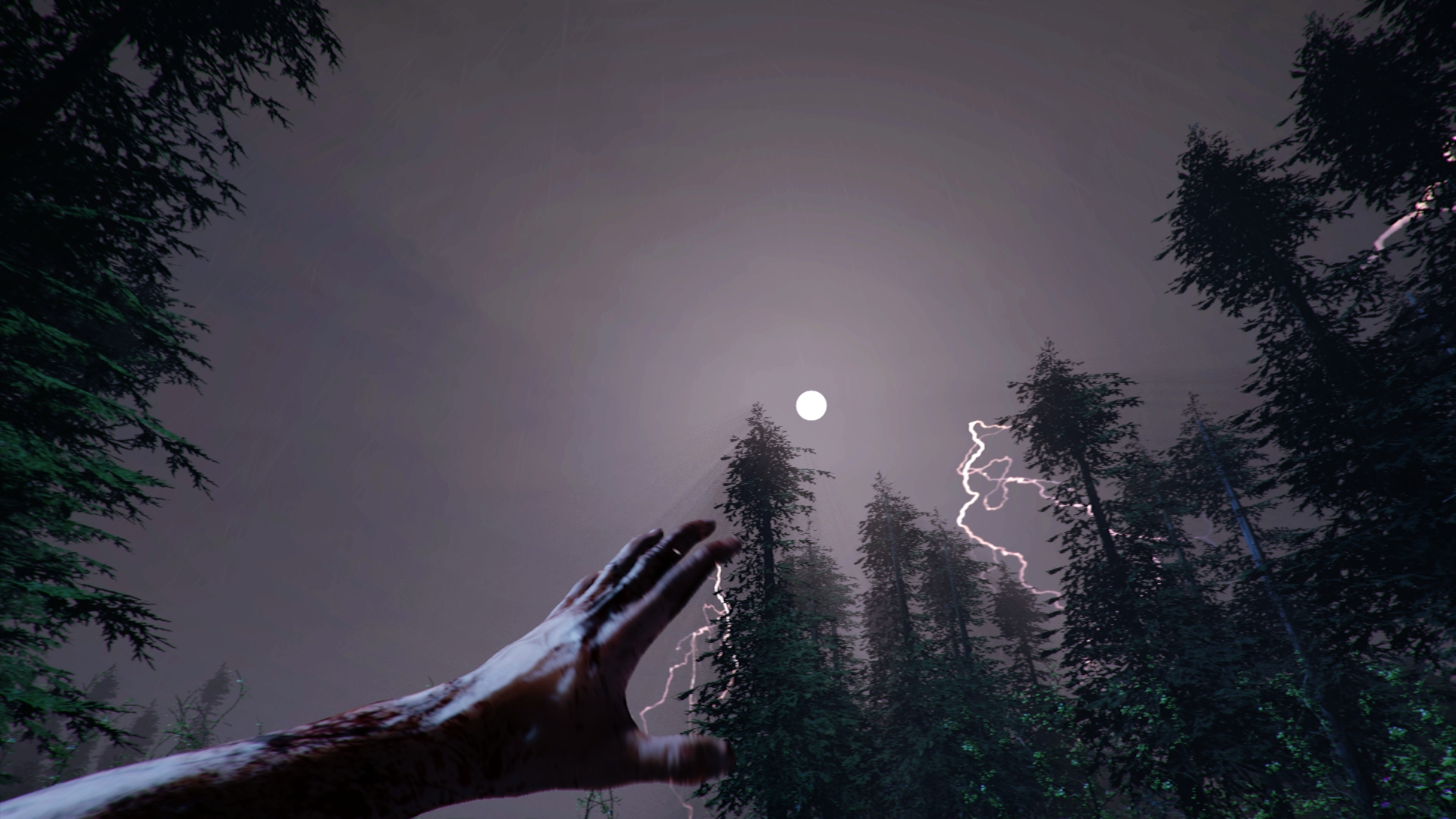 Скриншот из игры The Forest - 101