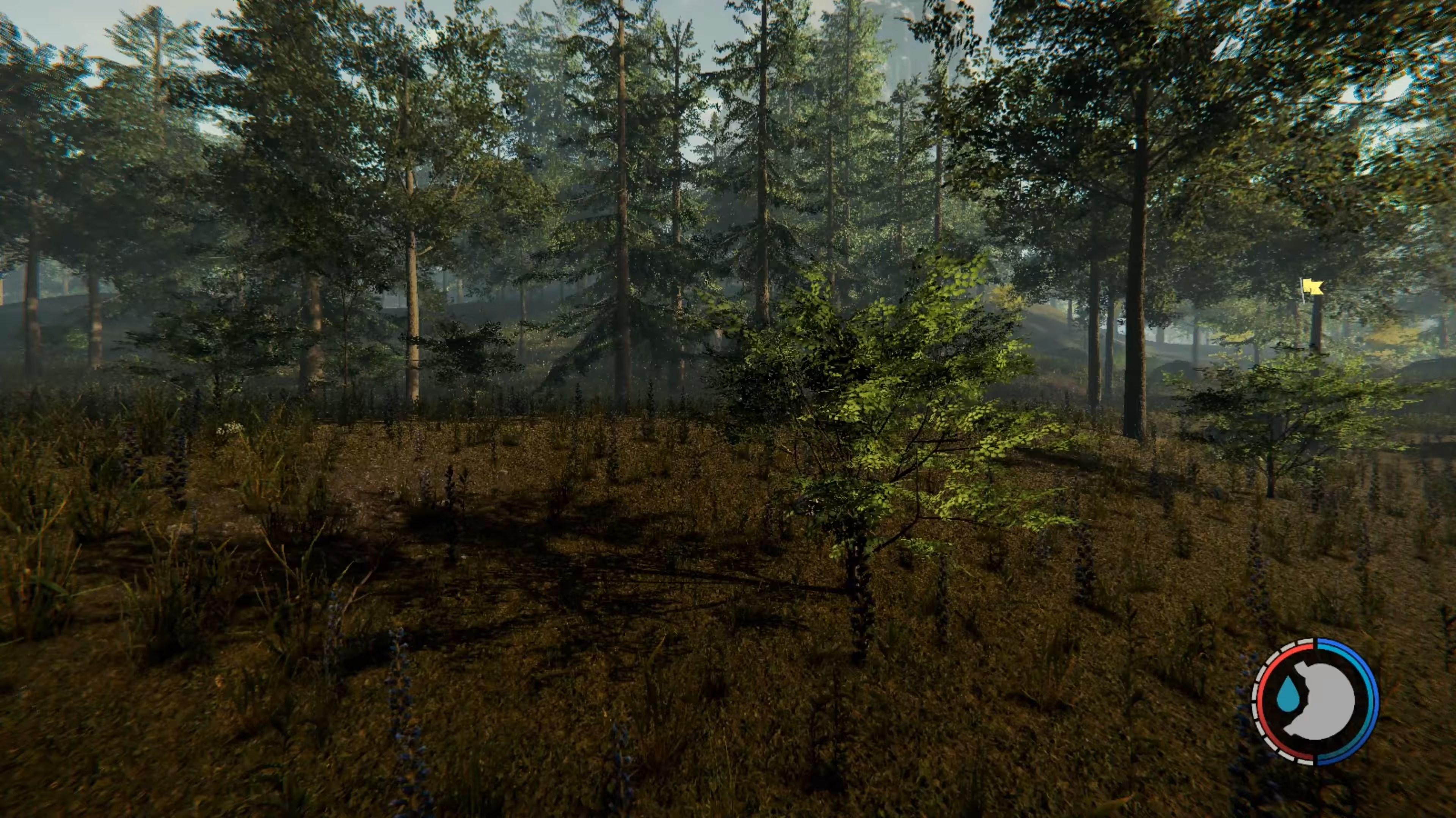 Скриншот из игры The Forest - 51