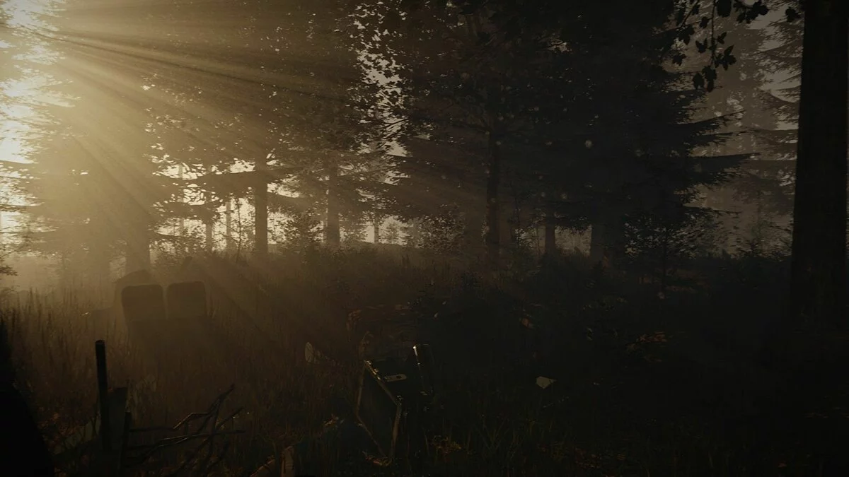 Скриншот из игры The Forest - 62