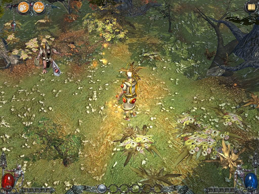 Скриншот из игры Dawn of Magic - 120