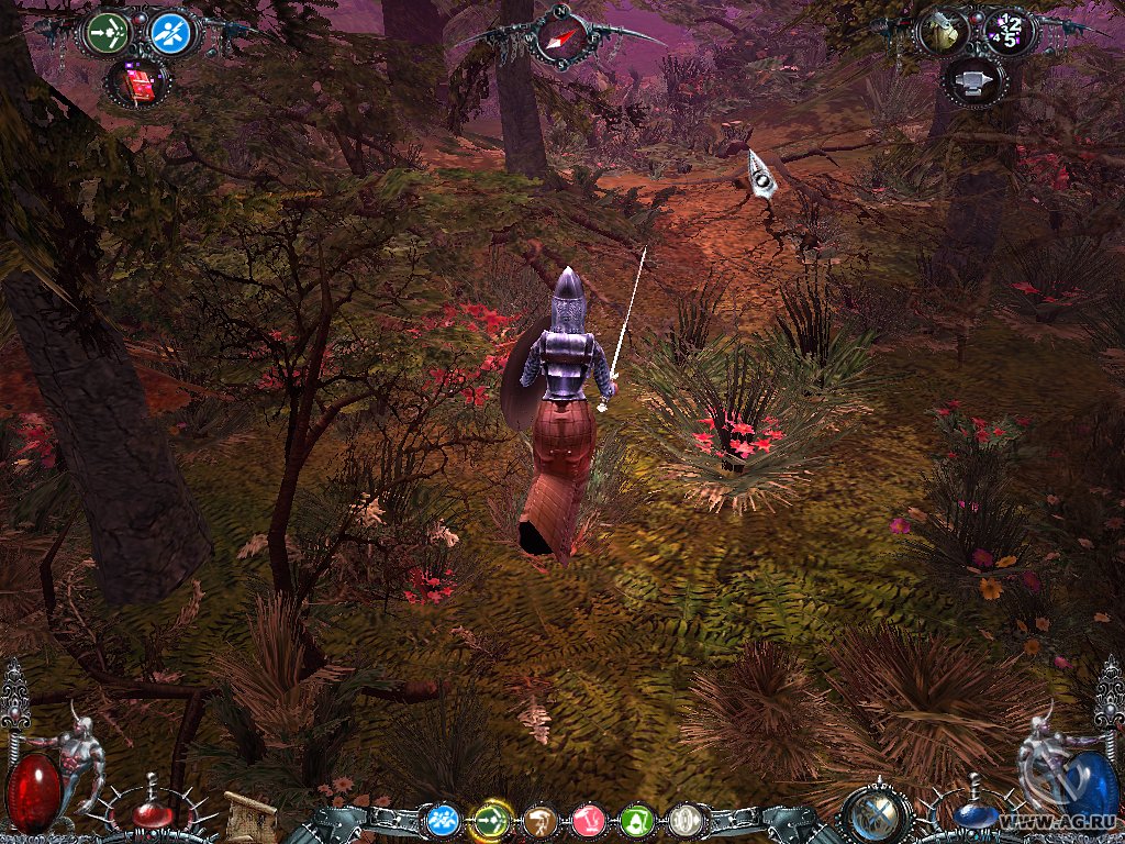 Скриншот из игры Dawn of Magic - 279