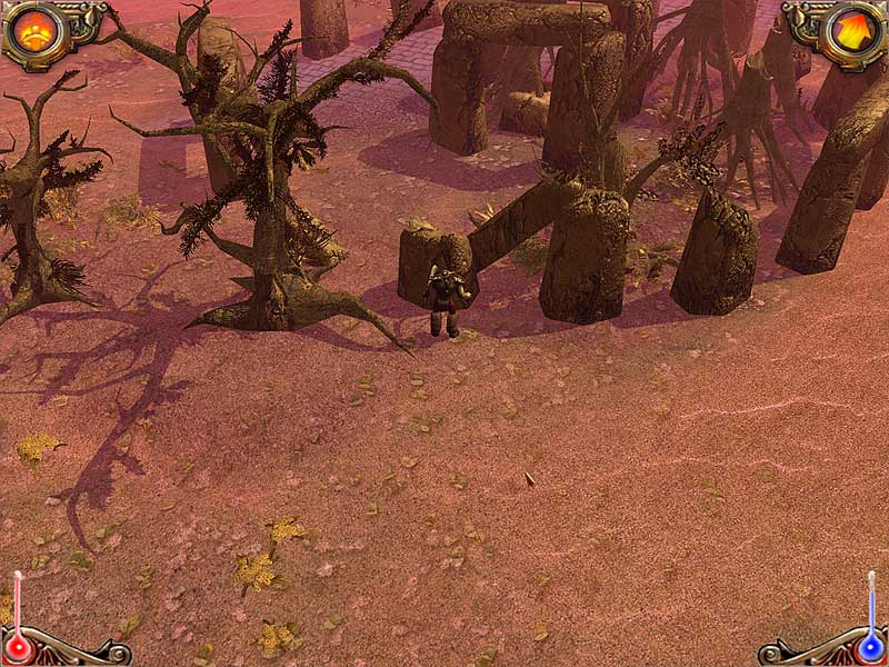 Скриншот из игры Dawn of Magic - 306