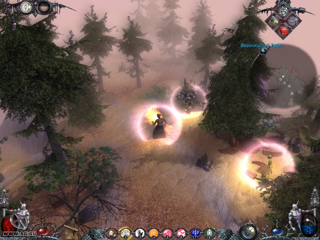 Скриншот из игры Dawn of Magic - 19