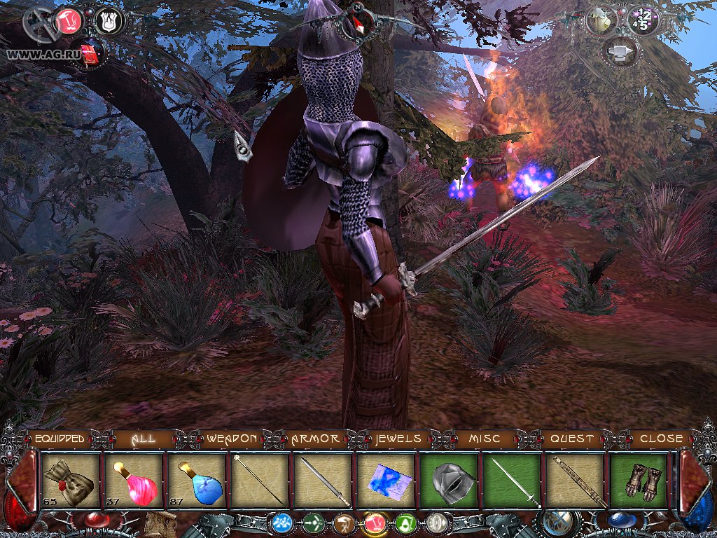 Скриншот из игры Dawn of Magic - 202