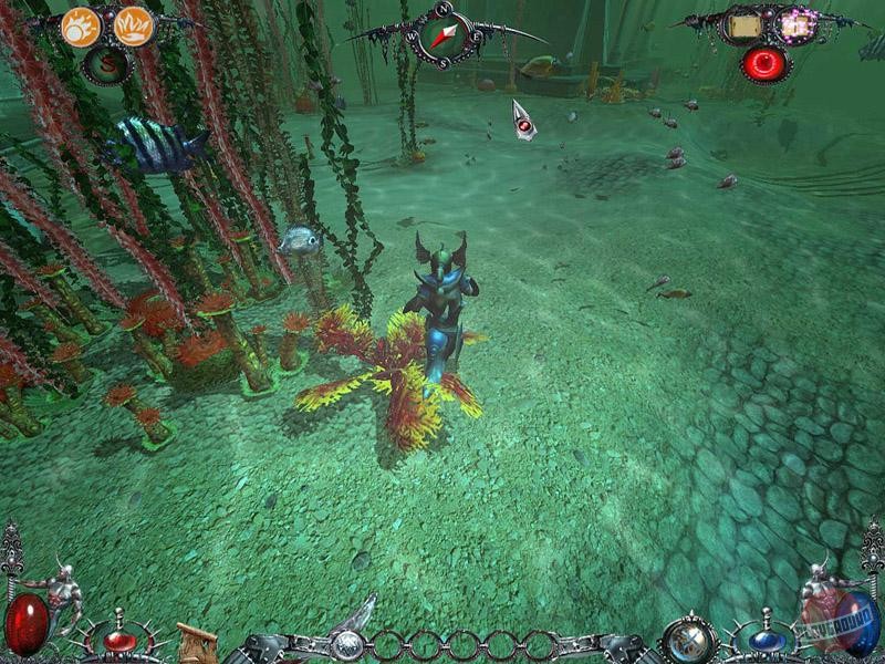 Скриншот из игры Dawn of Magic - 58