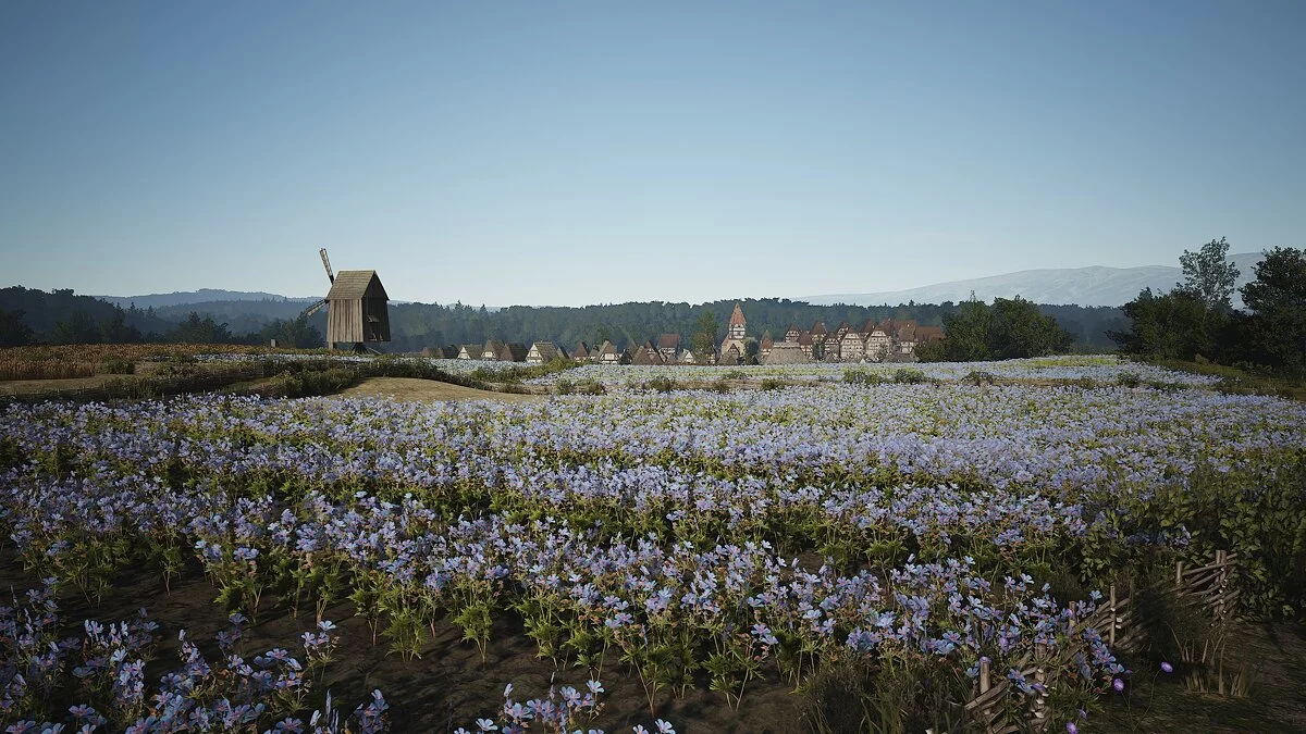 Скриншот из игры Manor Lords - 12