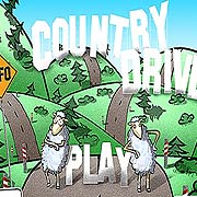 Обложка игры Country Driver