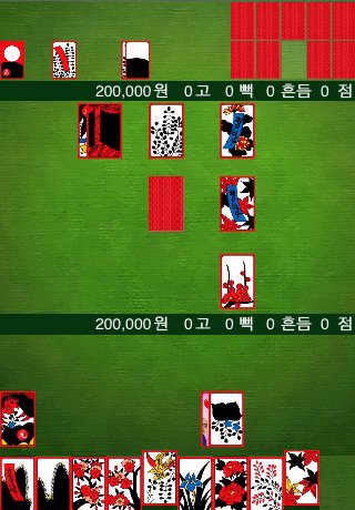 Скриншот из игры ActionGostop - 2