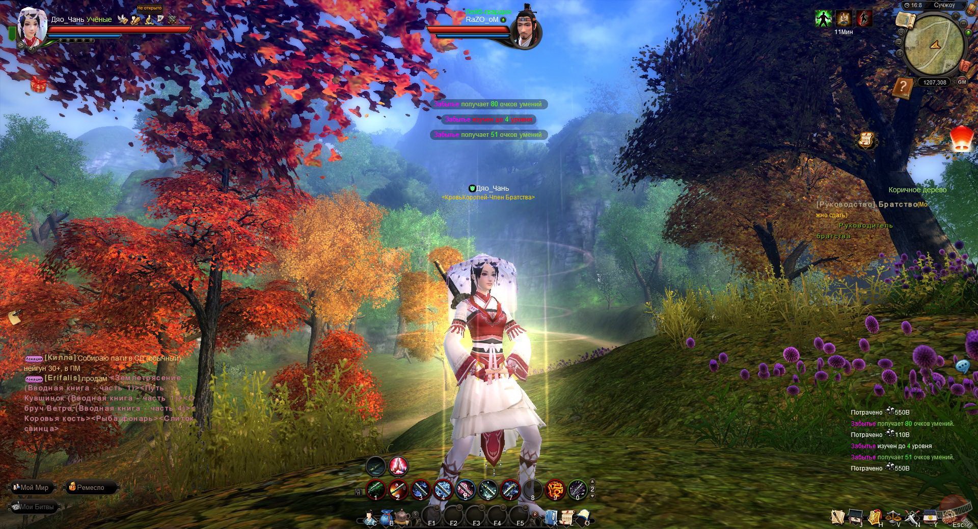 Скриншот из игры Age of Wushu - 8