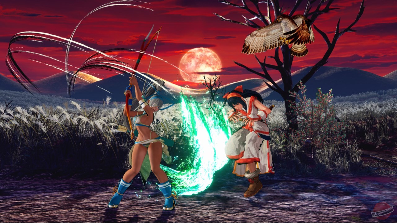 Скриншот из игры Samurai Shodown - 49