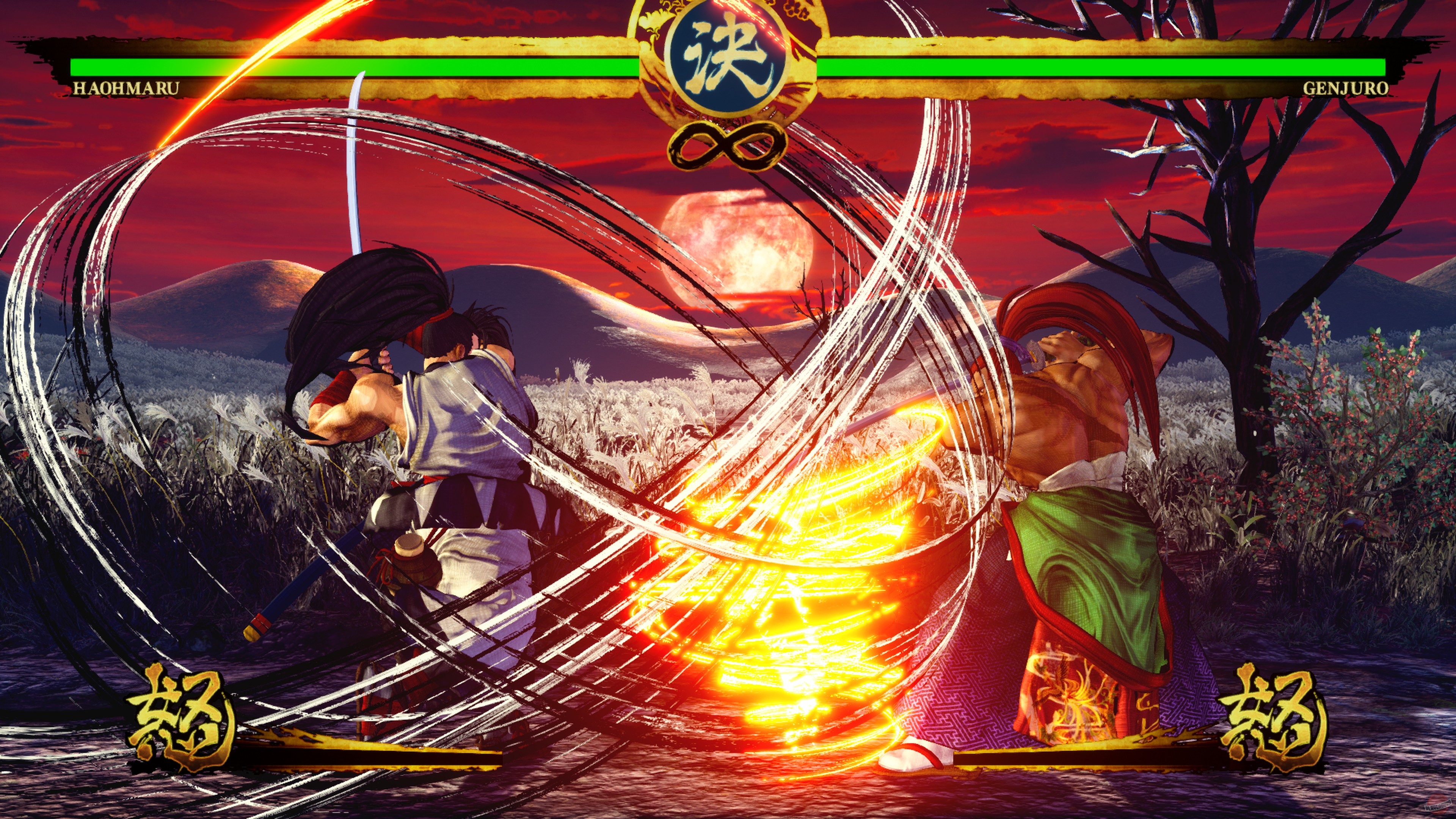 Скриншот из игры Samurai Shodown - 40