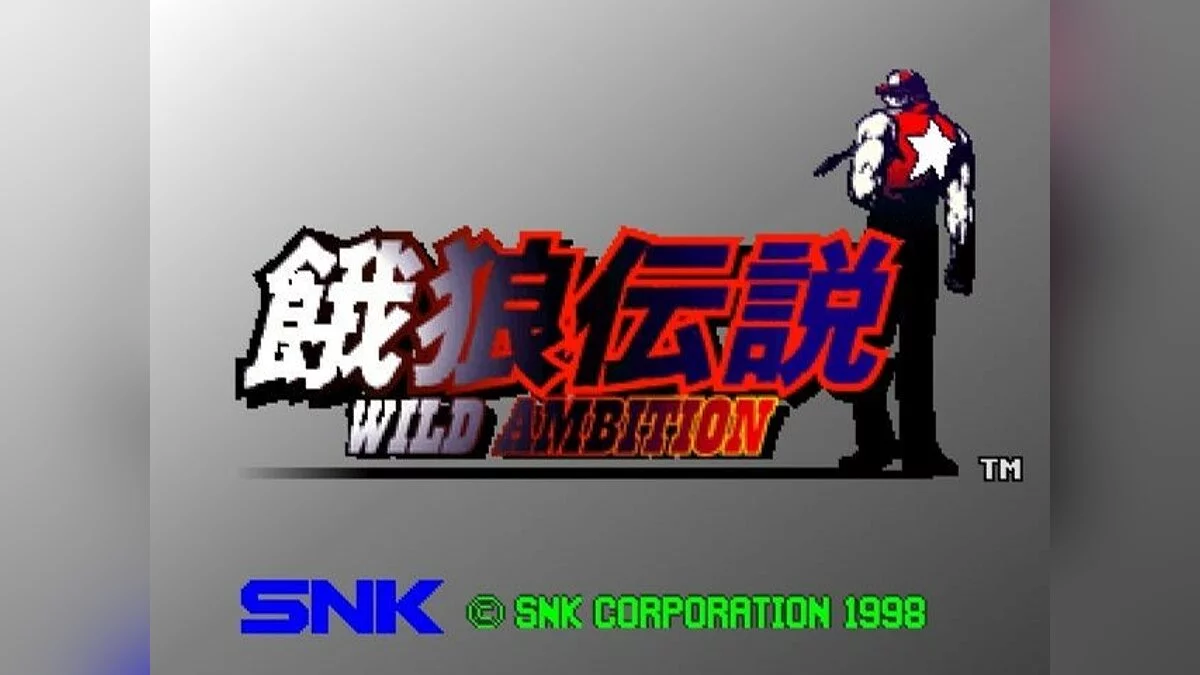 Скриншот из игры Fatal Fury: Wild Ambition - 13