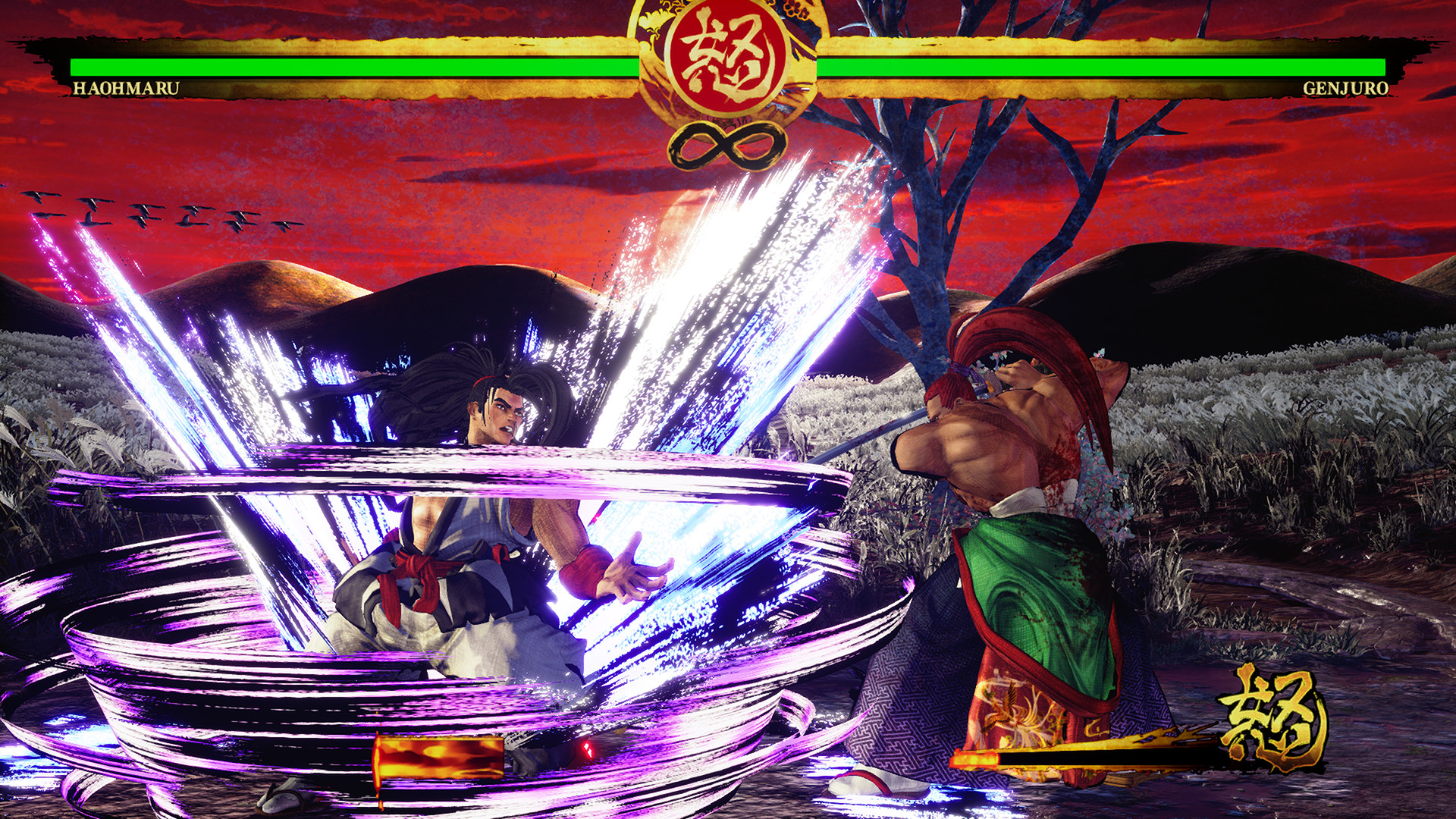 Скриншот из игры Samurai Shodown (2019) - 19