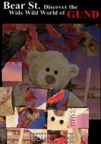 Обложка игры Bear St. Tumbler Puzzle