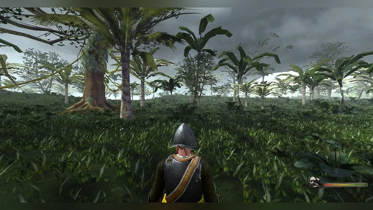 Скриншот из игры Огнем и мечом 2. На Карибы! - 20