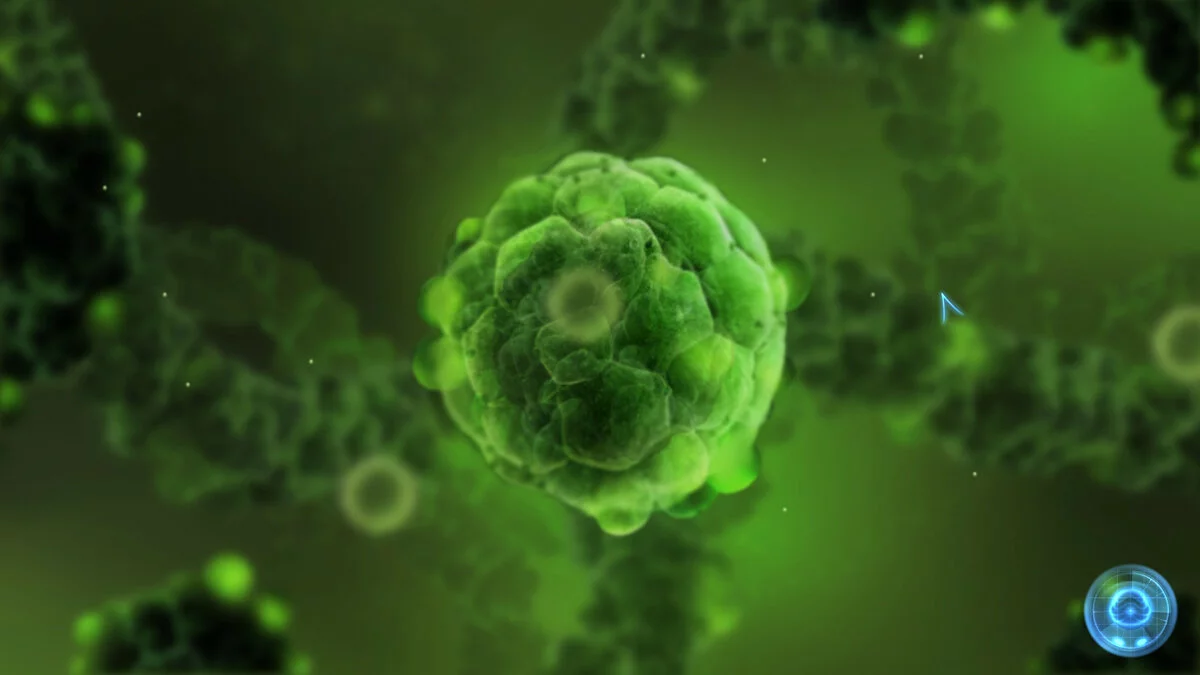 Скриншот из игры Inside Me - 15