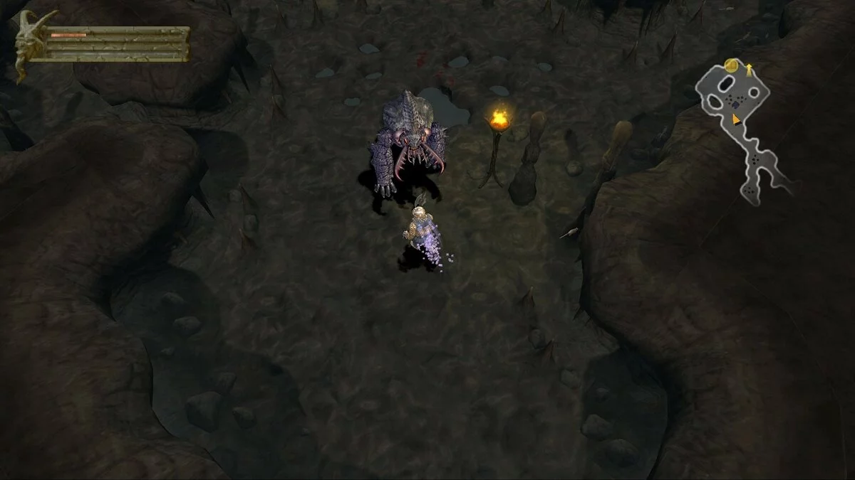 Скриншот из игры Baldur's Gate: Dark Alliance - 25