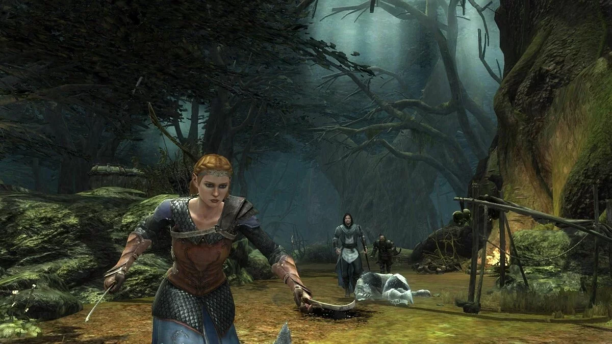 Скриншот из игры The Lord Of The Rings: War In The North - 43
