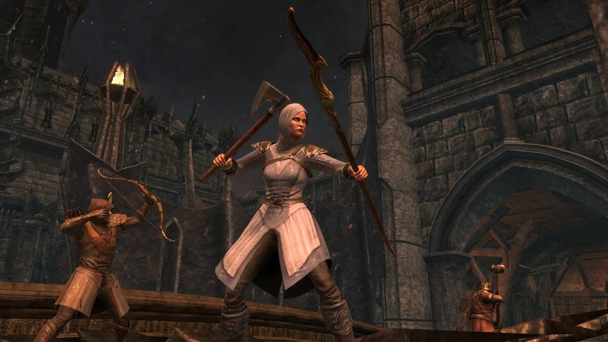 Скриншот из игры The Lord Of The Rings: War In The North - 114