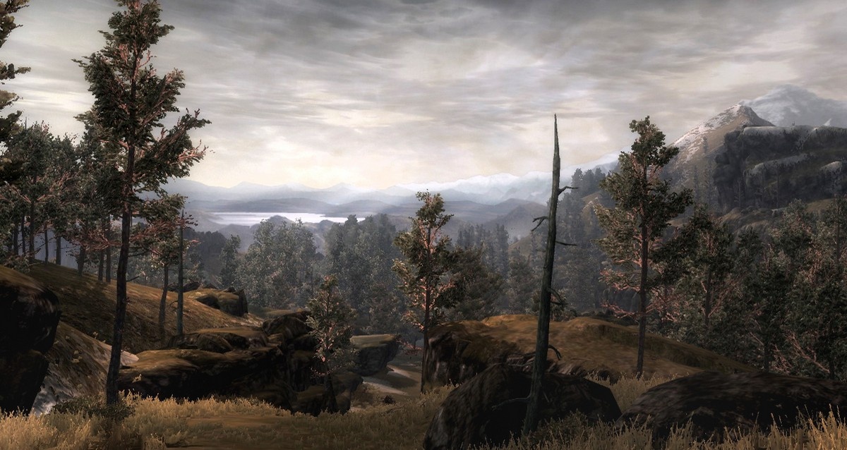 Скриншот из игры The Lord Of The Rings: War In The North - 55