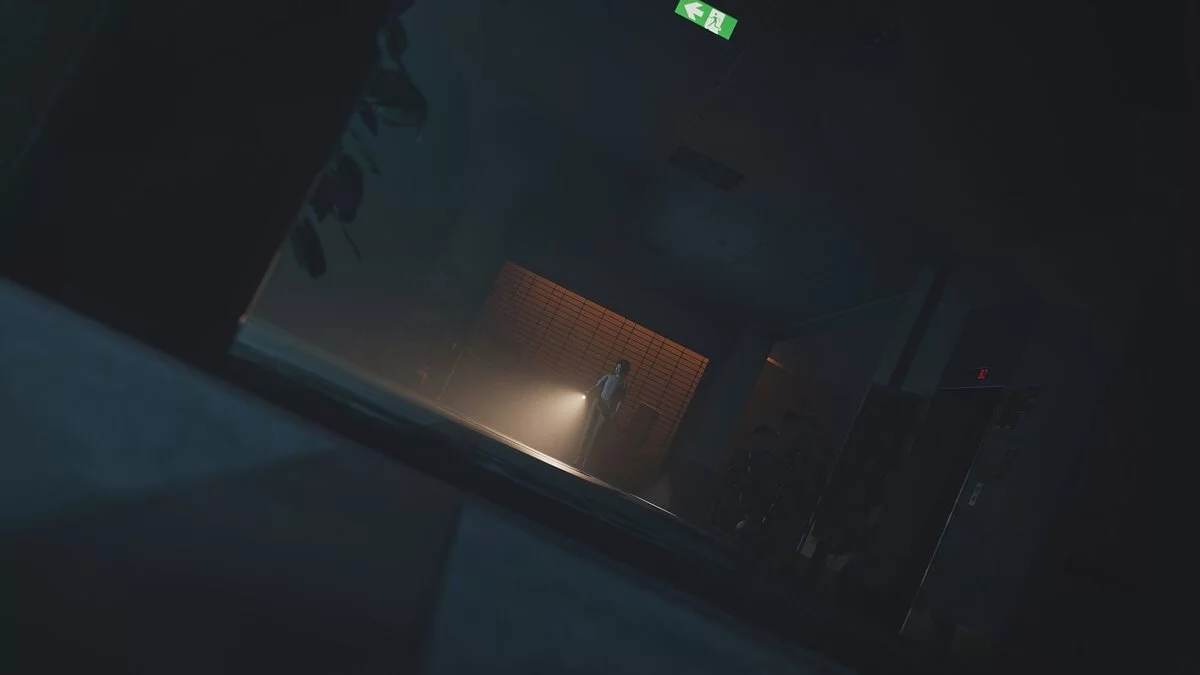 Скриншот из игры The Bridge Curse 2: The Extrication - 1